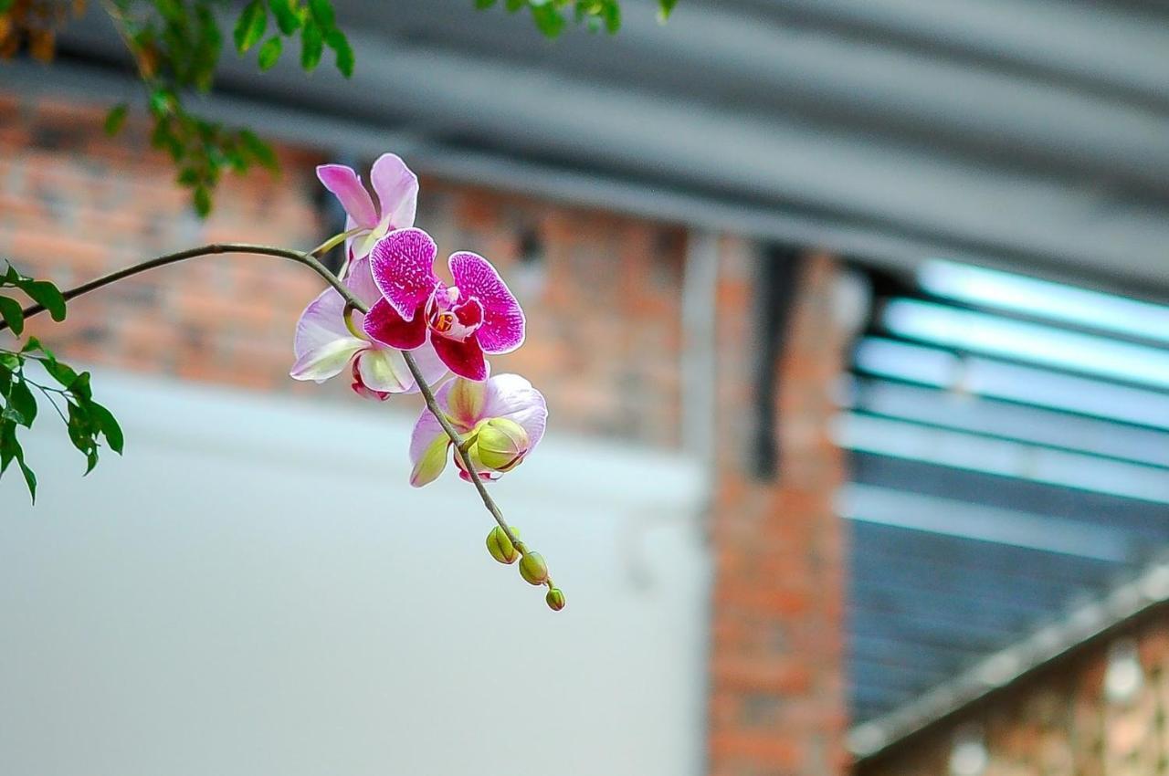 Chi Homestay #4 Hue Exterior foto